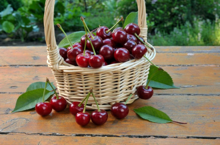 Cele mai bune 15 fructe pentru slăbit - Ingrijirea Pielii - 