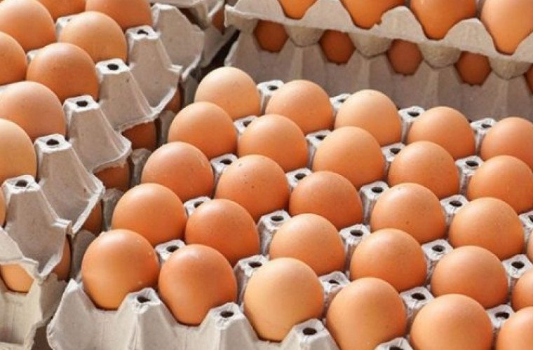 Explicația agentului care a livrat ouă expirate în două grădinițe din Chișinău