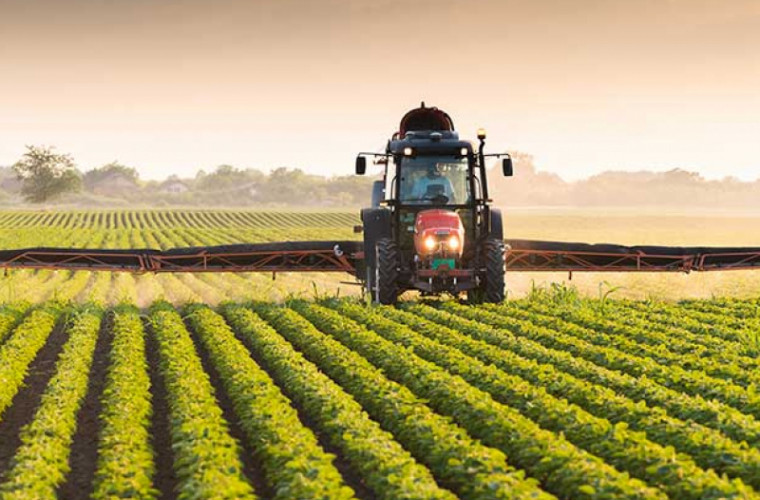 Сельхозпроизводители могут подать заявку на получение государственных субсидий