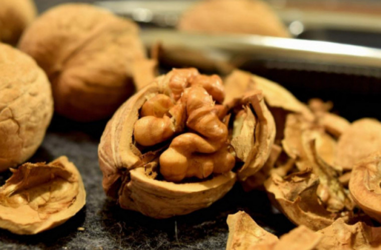 Риск развития рака и сердечных болезней снижают орехи