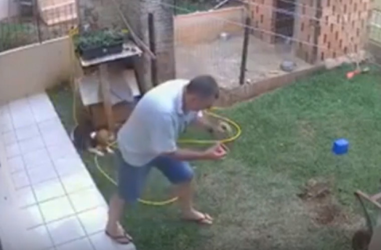 Un bărbat a vrut să scape de gîndaci, dar și-a aruncat grădina în aer (VIDEO)