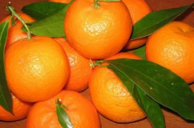 Beneficiile și daunele mandarinelor