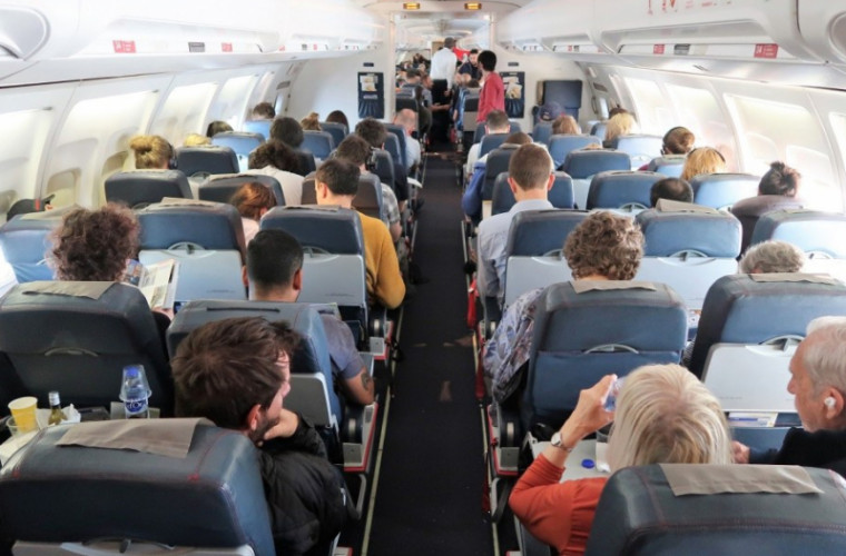 «Турист безбилетный»: в Шереметьево из-за голубя на борту задержали рейс