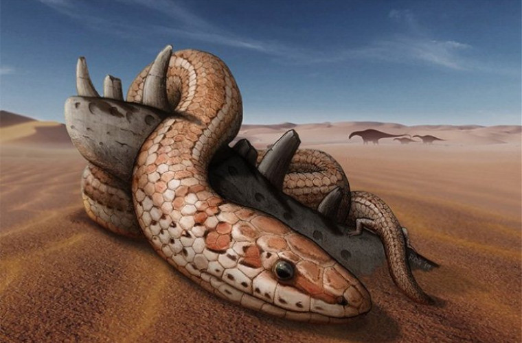  A fost descoperită fosila unui șarpe cu membre posterioare