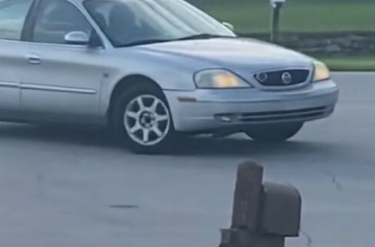 Un cîine a trecut mașina în marșarier și s-a învîrtit în cerc aproape o oră (VIDEO)