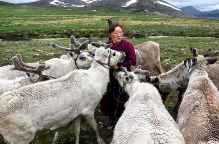 Topirea ghețurilor pune în pericol viața unei comunități de crescători de reni din Mongolia