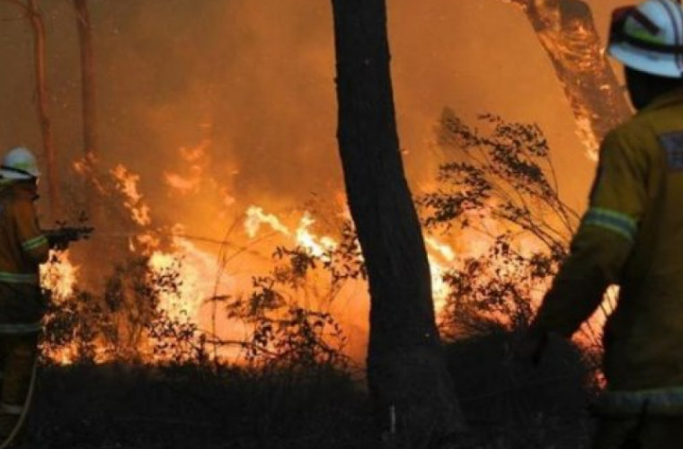 În Australia pompierii nu mai fac față incendiilor și fug să-şi salveze vieţile