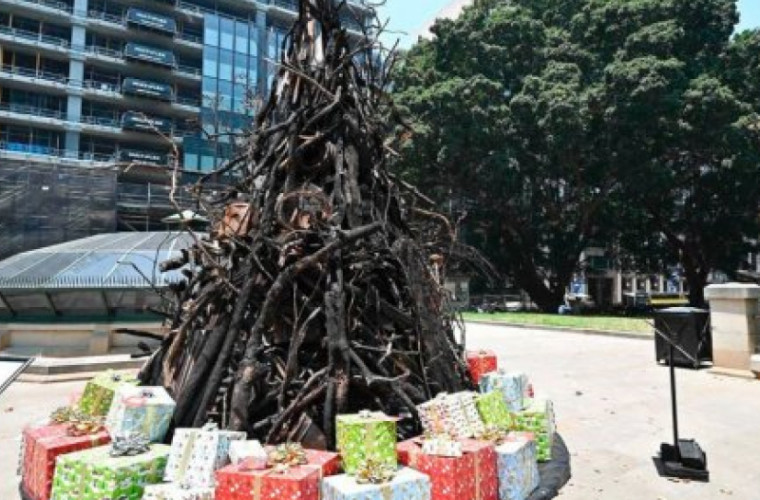 Un brad de Crăciun din crengi carbonizate a fost instalat în Sydney