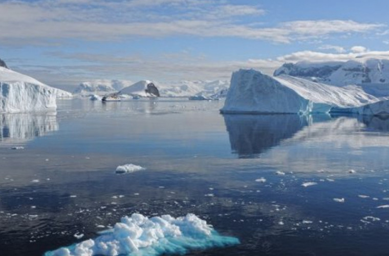 Studiu: Apele din jurul Antarcticii sînt mai acide şi au nivel scăzut de oxigen