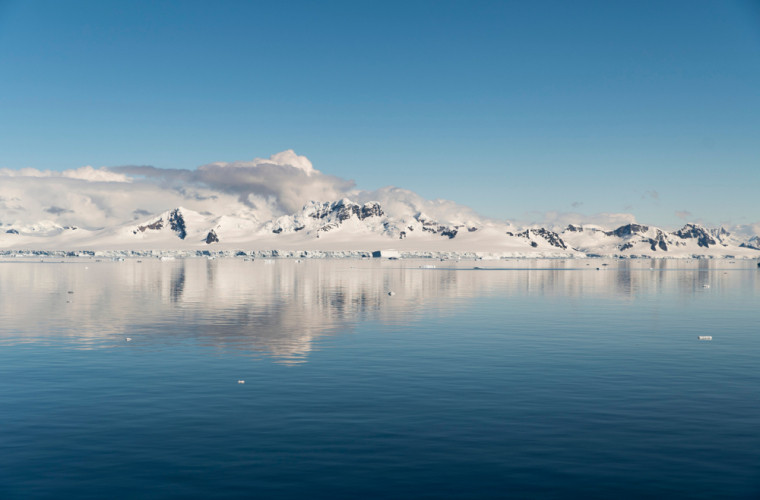 Schimbările climatice vor aduce în Antarctica noi specii de animale și plante 