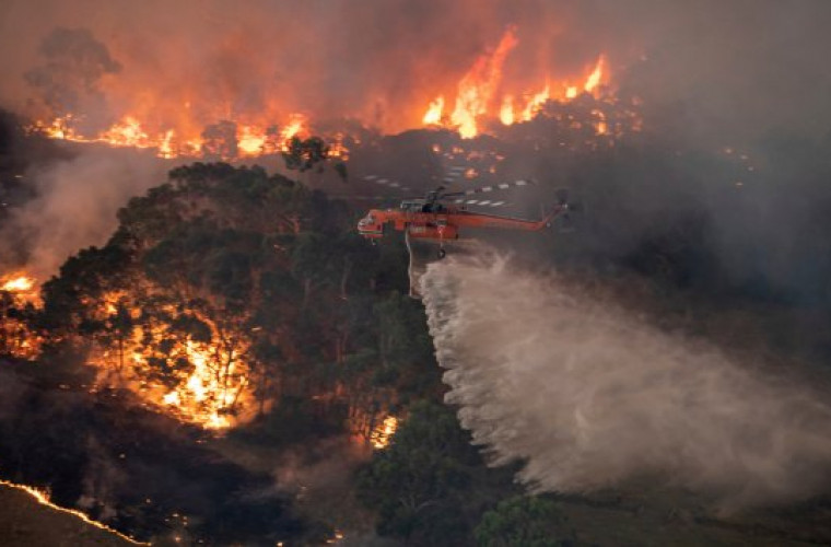 Ливни в Австралии потушили 25 очагов лесных пожаров, но вызвали наводнения