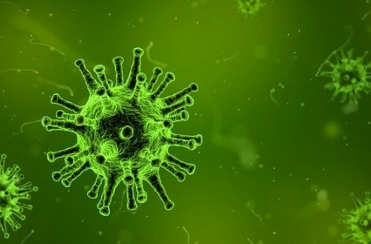 S-a aflat care e posibila sursa a noului virus mortal din China