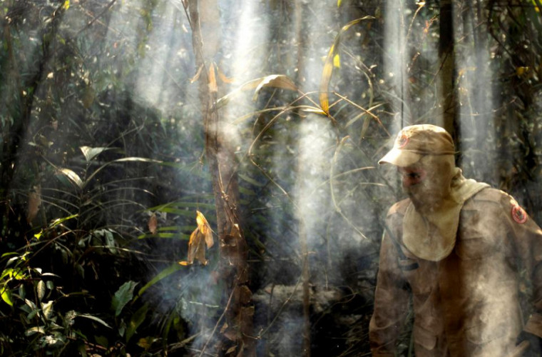 O cincime din pădurea amazoniană emite mai mult dioxid de carbon decît poate absorbi