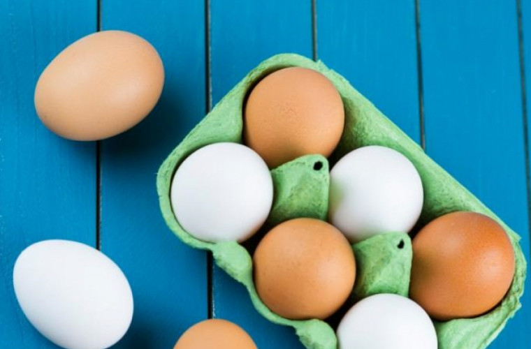 В чем разница между белыми и коричневыми яйцами: простой ответ