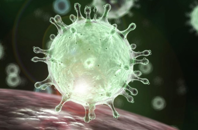 Mituri despre coronavirus combătute de OMS