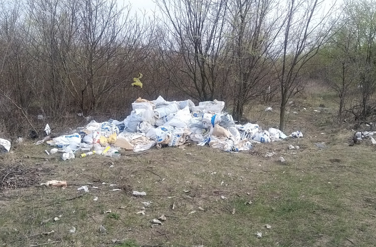 Pădurea din Bubuieci, plină de gunoi chiar și pe timp de pandemie