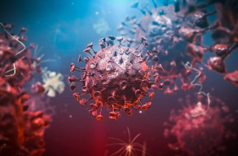 Studiu: Cît rezistă coronavirusul în corpul pacienţilor care dezvoltă o formă gravă a bolii