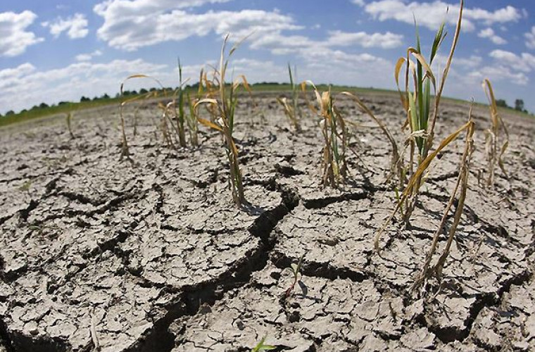 Se pregătește semnarea Acordului dintre Moldova și FAO privind asistența tehnică împotriva degradării solului