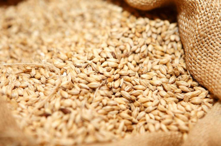Египет наращивает закупки пшеницы на фоне пандемии