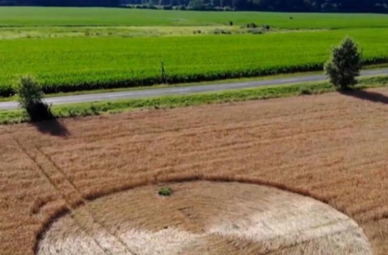 Cerc perfect, apărut în mod misterios într-un lan de grîu din Ungaria