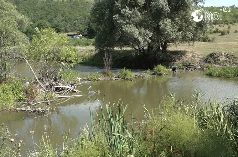 Activiștii ecologici îndeamnă "Apă-Canal" și "Apele Moldovei" să acorde atenție problemei rîurilor (VIDEO)