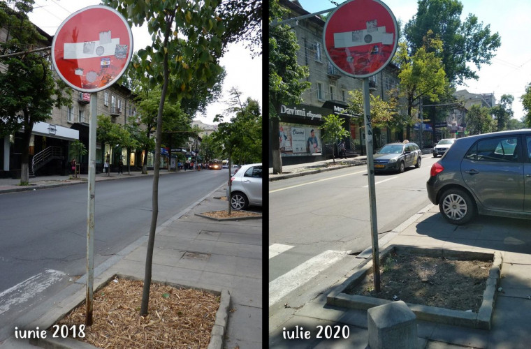 În centrul Chișinăului, de dragul unei parcări, au fost tăiați mai mulți copaci tineri (FOTO)