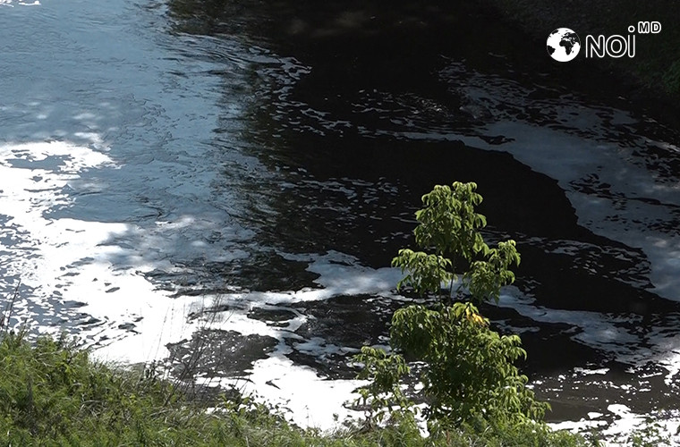 Воды Молдовы «плачут»: катастрофическое состояние реки Бык (ВИДЕО)