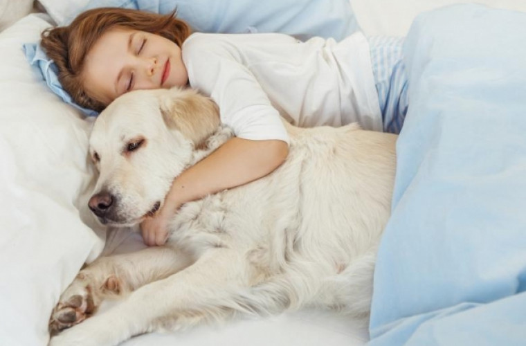 Pozițile de somn și cum îți afectează acestea sănătatea